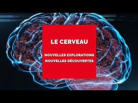 Fondamental ! À la recherche du Futur | EP3 | Les recherches sur le cerveau