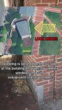 The Secret Way to See the Liberty Bell!