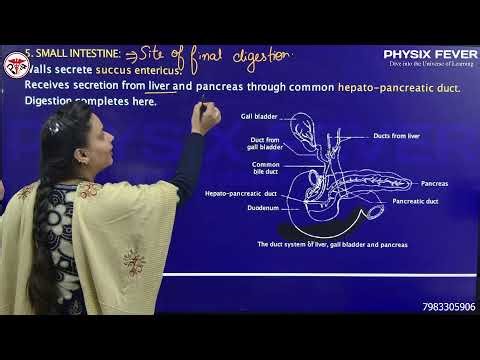 Class 10th | Life Processes | SPECTRUM BATCH | CBSE BOARDS 2026 | by Bhawna Ma'am | Physix Fever