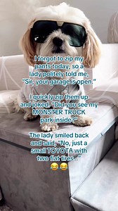 Monster truck vs. Toy #comedy #fyp #funny #humor #laugh | Hunter the Bounter