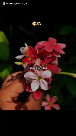 Be Matlab Sa Jeeta Raha Tha... 🥀✨ | #Shorts #Lyrics #MohitChauhan