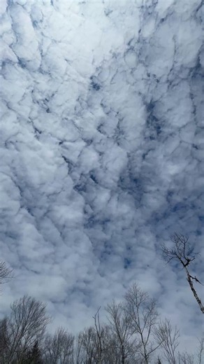 long form microwave earth wide crazy anomalies
