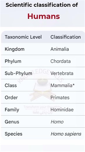 Scientific Classification of Humans | Taxonomy Made Easy
