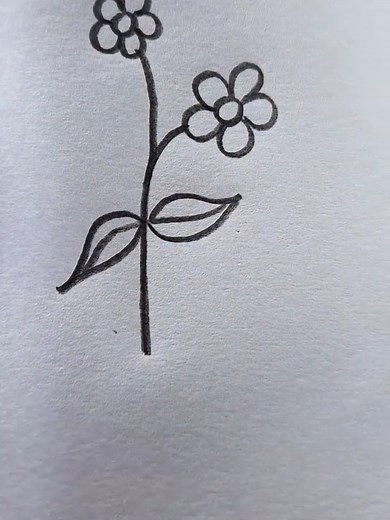 Simple Flower Drawing Techniques for Beginners