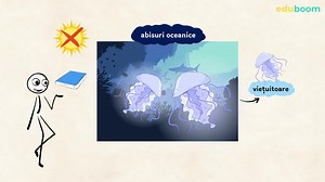 Adaptări ale viețuitoarelor la viața acvatică. Științe ale naturii clasa a 4-a