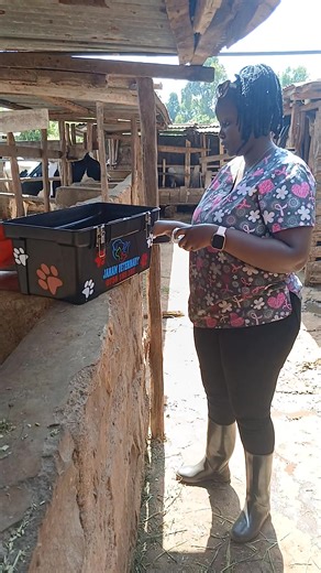 Importance of Deworming Dairy Cows After Calving