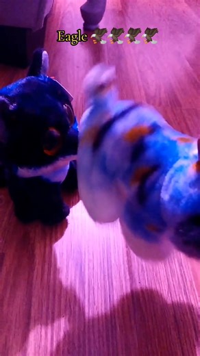 IMMA EAGLE (oh new customs btw) #Onyx #fypage #beanieboos #meme #fix #tiger #america #eagle #Onyx.boos