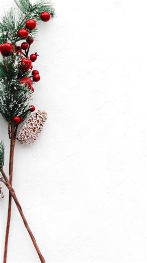 Merry Christmas from Health & Vitality Clinic