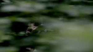 Трейлеры фильма «Самурай» (2014): смотреть онлайн на русском и английском