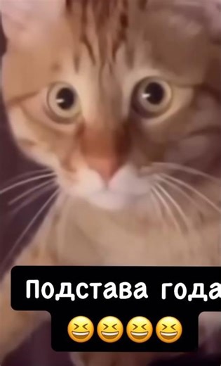 Set-up of the Year 😄😄😄😄