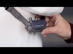 How to Fit the Collar of the Premier Pet Trainer