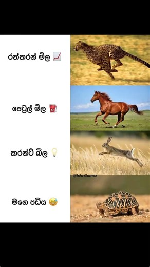 #𒆜foryou #funny #jokes #funny #funnymemes #funnyimages #jokes #comedy #funnyimages #funnypictures