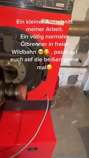 Jonny (@jonny_dodge57)’s videos with Ran D_ Zombie - Ξ•F•N