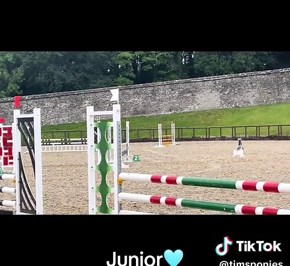 Show Jumping Highlights: 6 Ponies Shine at Tri League