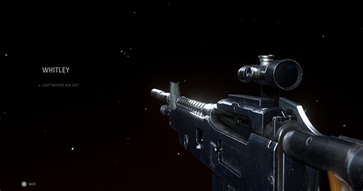 The Best Warzone Whitley Loadout: The New Bren