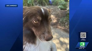 Northern Californians, what are you thankful for this year?