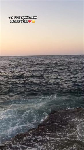 Jour après Jour en Algérie : Émotions et Souvenirs