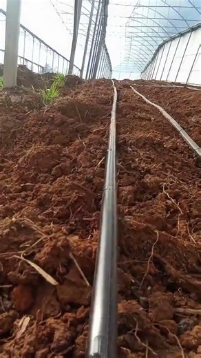 How a drip irrigation system works. #irrigation #dripirrigation #drip #agronomy #agriculture