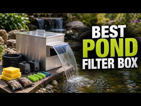 Best Pond Filter Box 2026: Top 6 Picks for Crystal Clear Pond Water