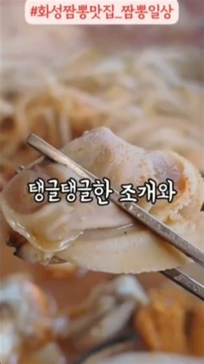 화성 향남 가성비 1등 찍은 52cm 조개전골 세트 😲 조개+우삼겹+만두+먹물면 다 퍼주는데 4만 원대 실화?!" #짬뽕일상