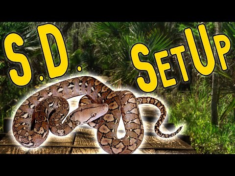 NEW Super Dwarf Enclosure! [Snake Cage Setup] Naturalistic Style