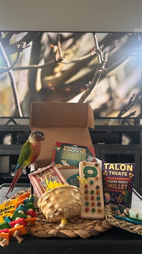 🦇꠹ꪖᦓρꫀ᥅ ᦓꪻꪮꪀꫀ🦖 on Instagram: "I love a movie night with snacks!! Time for Squawkbuster Movie Night! I LOVE this cute theme so much, which includes the type of toys I love to chew 😍 and as you know I have frequent movie nights so this is perfect me! 🤩 Details 👇 @squawk.box Discount code: jasper10 For $10 off your first box 😍 -A monthly themed subscription birdie box 📦 🦜 #birds #birdsofinstagram #parrots #parrotsofinstagram #squawkboxclub"
