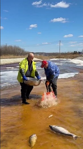 Unbelievable River Fishing! Catching Huge Fish with a Shovel and Basin 🎣​#BigCatch​#RiverFishing​