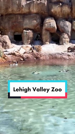 Explore Nature at Lehigh Valley Zoo and Trexler Preserve