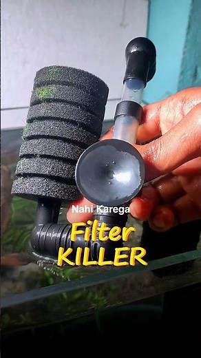 This Is Why Your Filter Is Failing😱||#aquarium #plantedtank