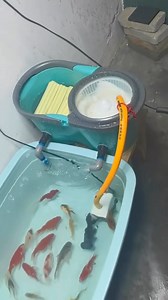 👌👌👌 | Michael Le