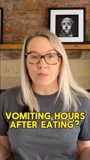 Dog Vomiting Undigested Food This Isn’t Normal #dog #doghealth #shorts