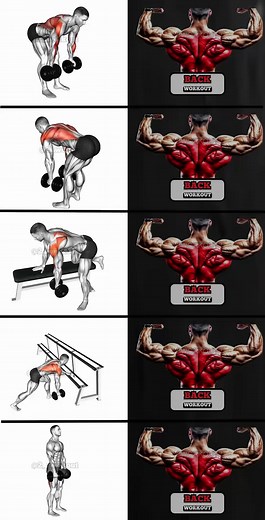 Back Workout Routine #2workout #backday #backworkout #backgainz #musclebuilding #fitinspiration #fitness #back #muscle #workout #gymmotivation