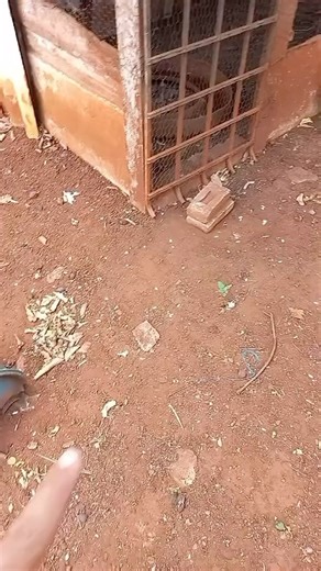 30K views · 105 reactions | Qu’est-ce que c’est? #psychokiller #talkingheads #the80s #80s #80smusic #1980s #1980smusic #theeighties #eighties #eightiesmusic #music #totallyawesome80s | Totally Awesome 80s | Facebook