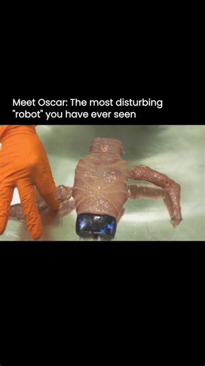 Artificial Intelligence | ChatGPT | Technology | What you’re looking at isn’t a traditional machine. This sci-fi concept project explores a modular body made from organic components that... | Instagram