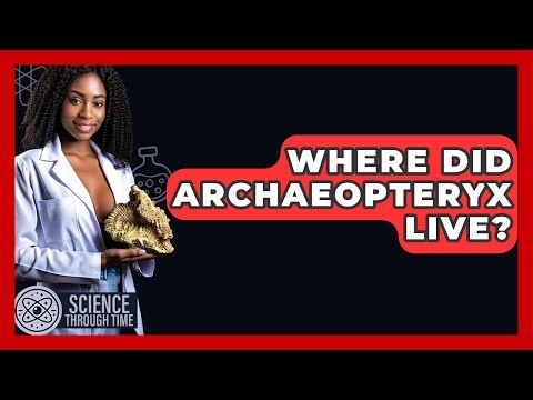 Where Did Archaeopteryx Live? - Science Through Time