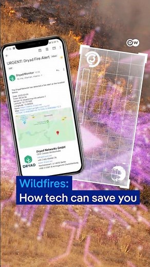 How tech can mitigate wildfires | DW News