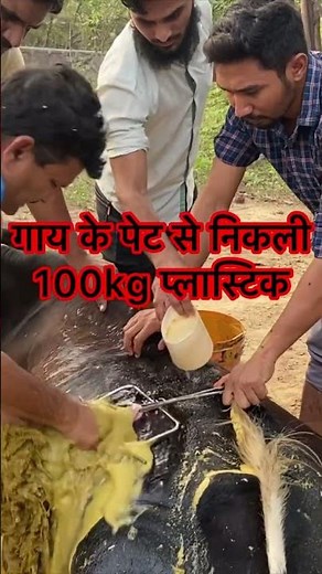 Rumenotomy in cow l dr umar khan