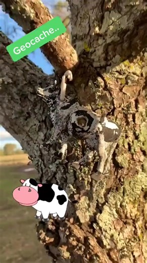 #Geocache containers can be almost anything #geocaching #cache