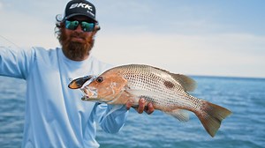 The all new Nomad Design Australia Vertrex soft vibes in action! The Nomad Vertex Max Soft Vibe Lure gets down faster and vibrates more than any other soft lure. The deep body profile creates huge vibration at fast or slow speeds. It can be fished deeper than other lures because of the balanced design - meaning it sinks level and doesn’t spin when sinking. You can move it slower, so it’ll stay in the strike zone longer. It’s incredibly effective at targeting fussy fish when hopped super slow acr