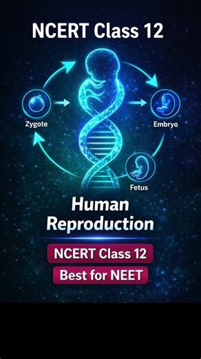 Human Reproduction 16 😱 | NCERT Class 12 | NEET 2026 #Quick Revision Shorts #biology #neetmcqs