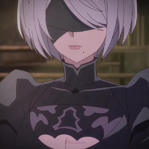 Maplestar Human Desire: 2B x 9S Anime Animation