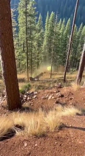 My friend fell down a mountain.. #Comedy #Surreal