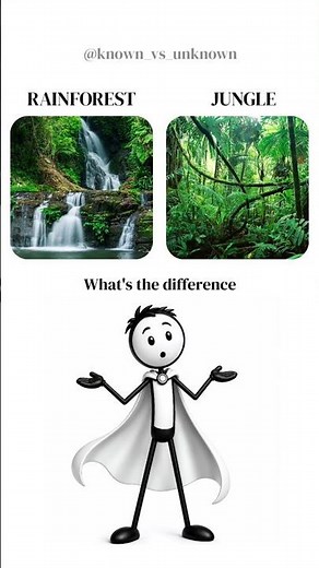 What's the Difference? (You've Been Confusing These)💦