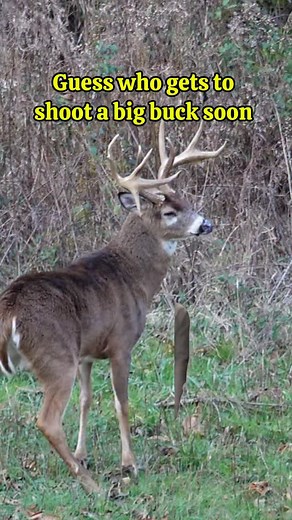 2.6K reactions · 130 shares | MANIFEST it y’all 歷 | HARDY FACEPAINT | Facebook