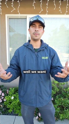 These Bugs Needed More Than a Can of Raid Spray! 😅