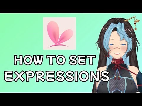 How to Hot-Key Expressions | Vtube Studio
