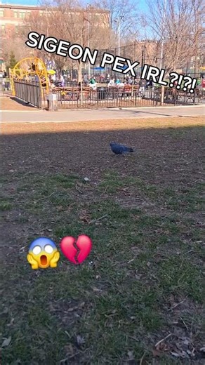 Sigeon Pex