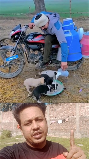 বর্তমান যুগে মানুষ হয়ে মানুষকে খা বার দেয় না 🫡 #foryouシ #lalanmia #reels #vairalvideo