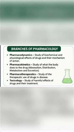 Introduction to Pharmacology | Definition, Scope, Branches & Basic Terms