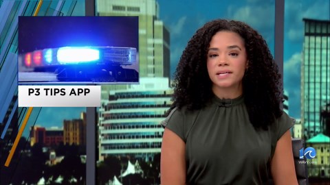 What is the P3Tips app and how do I use it?